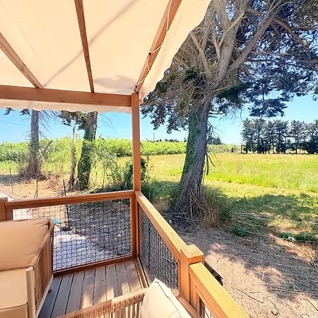 Kamp alanı Mobil-home Climatise 6 Pers Avec Piscine, Terrasse Ombragee Et Parking *